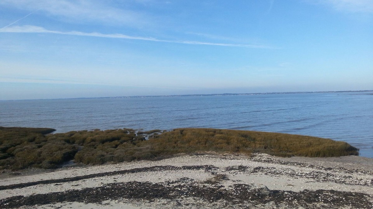 Bouin House | 2 * house for 6 people direct access to the sea