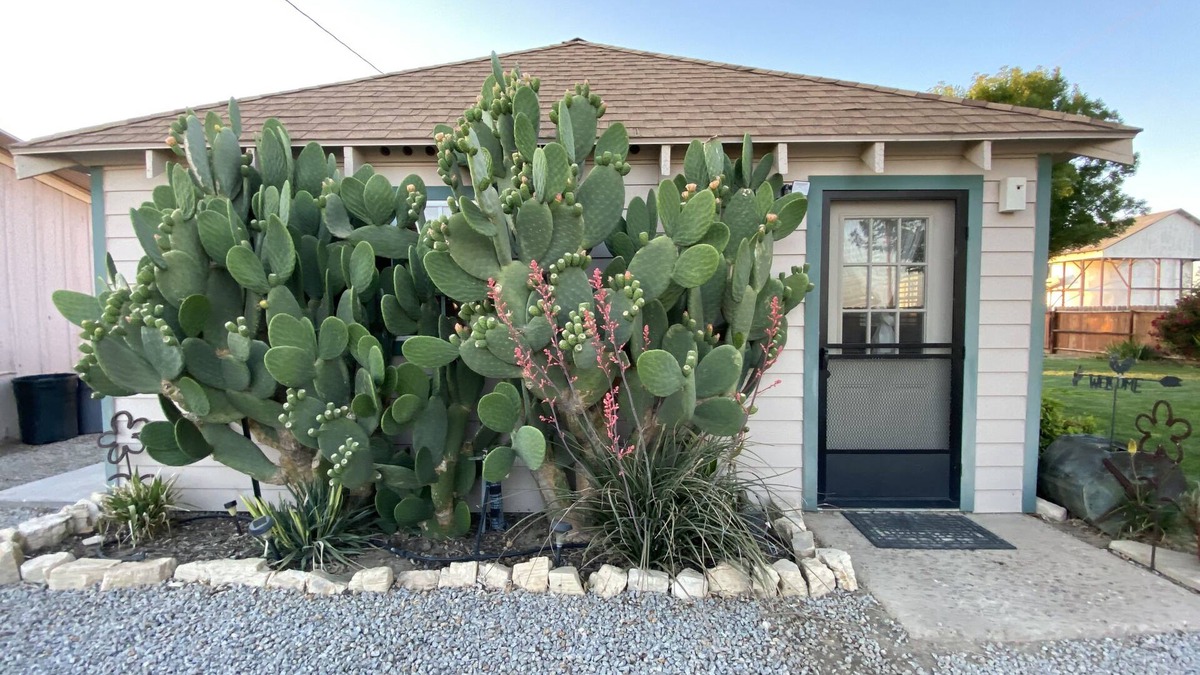 Santa Margarita House | 20 minutes from Carrizo Plain National Monument. Twisselman's Cactus Casa