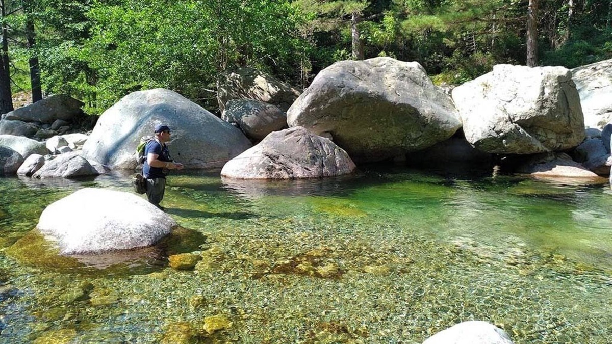 Ucciani Bed & Breakfast | 25mn Ajaccio/beaches 2mn river. Linen parking