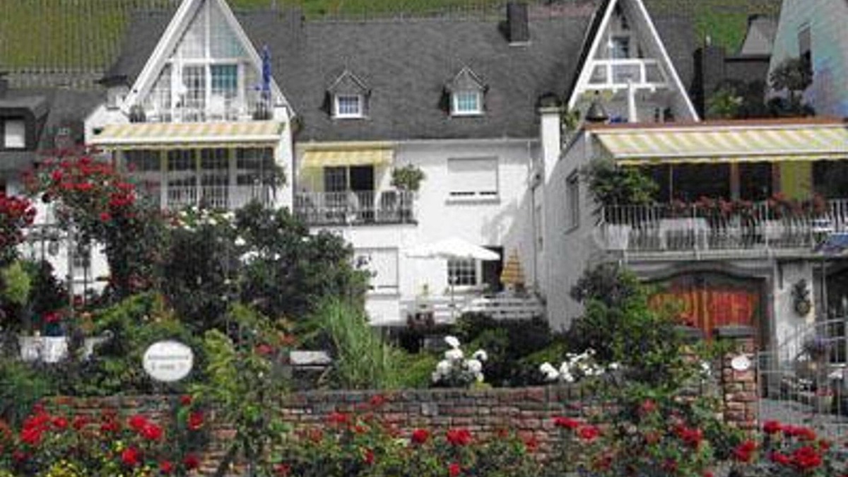 Neef Apartment | 3 bed apartment, Olive - Scheid, Edith