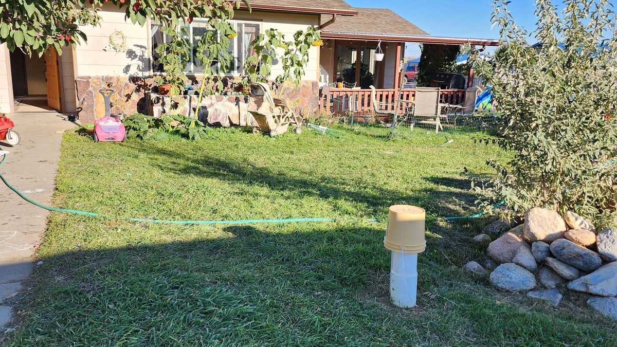 Buffalo House | 3-bedroom 2 bath house with beautiful views plus kids pets accepted!