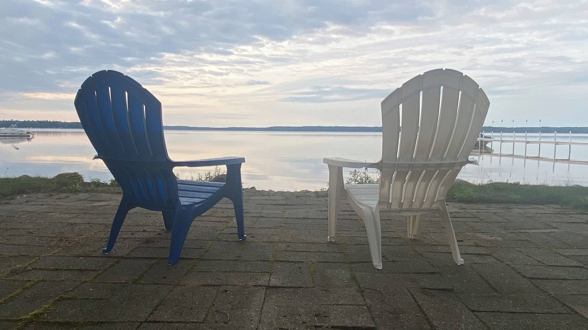 Levering Cabin | 3-bedroom Douglas Lake waterfront cabin in amazing Levering with WiFi, window AC