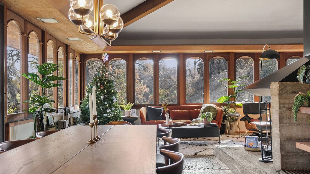La Loma House | 3 Bedroom Tree-House on Stilts!