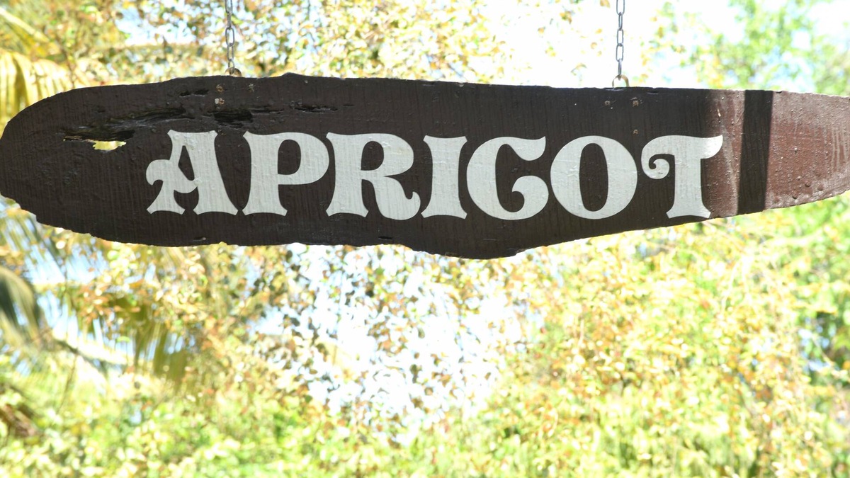 Palolem Apartment | 3-BHK Apartment in gorgeous Canacona with WiFi, AC. Start your vacation now