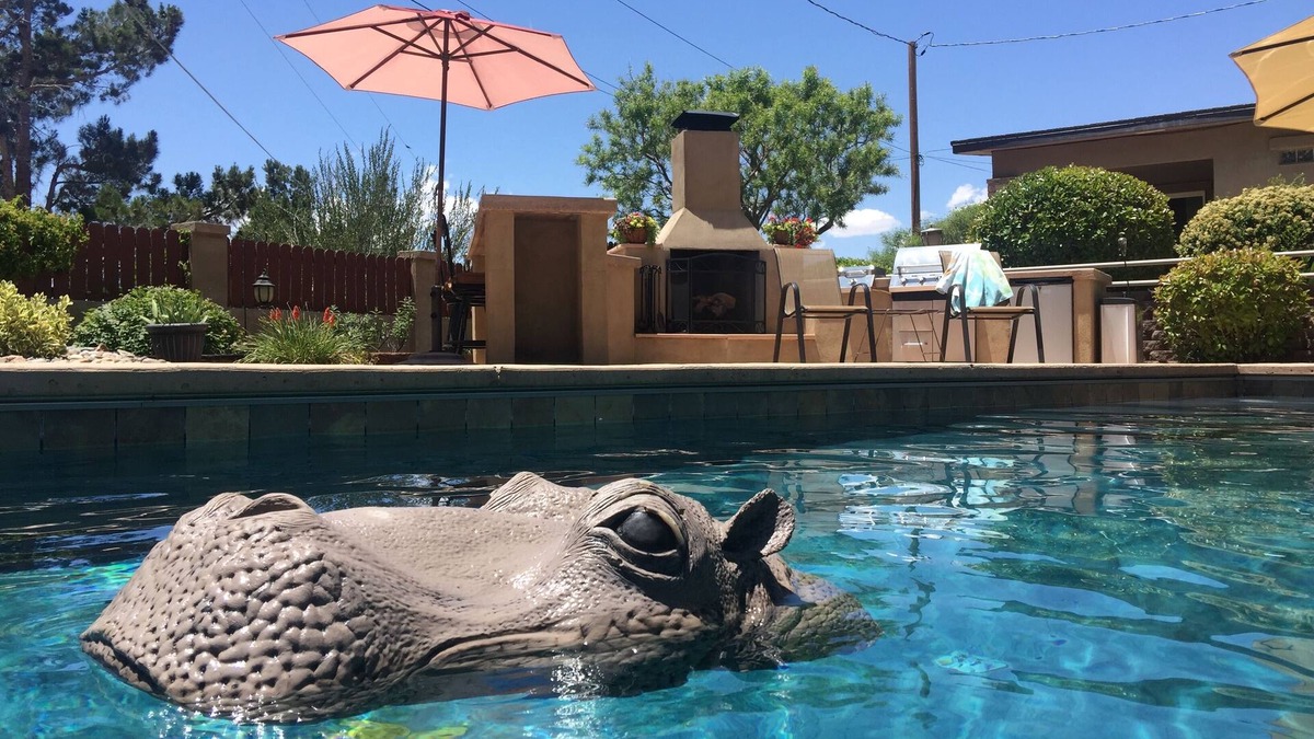 Northeast Heights House | 3 BR 2 BA Guest House with heated pool, hot tub, outdoor kitchen & putting range