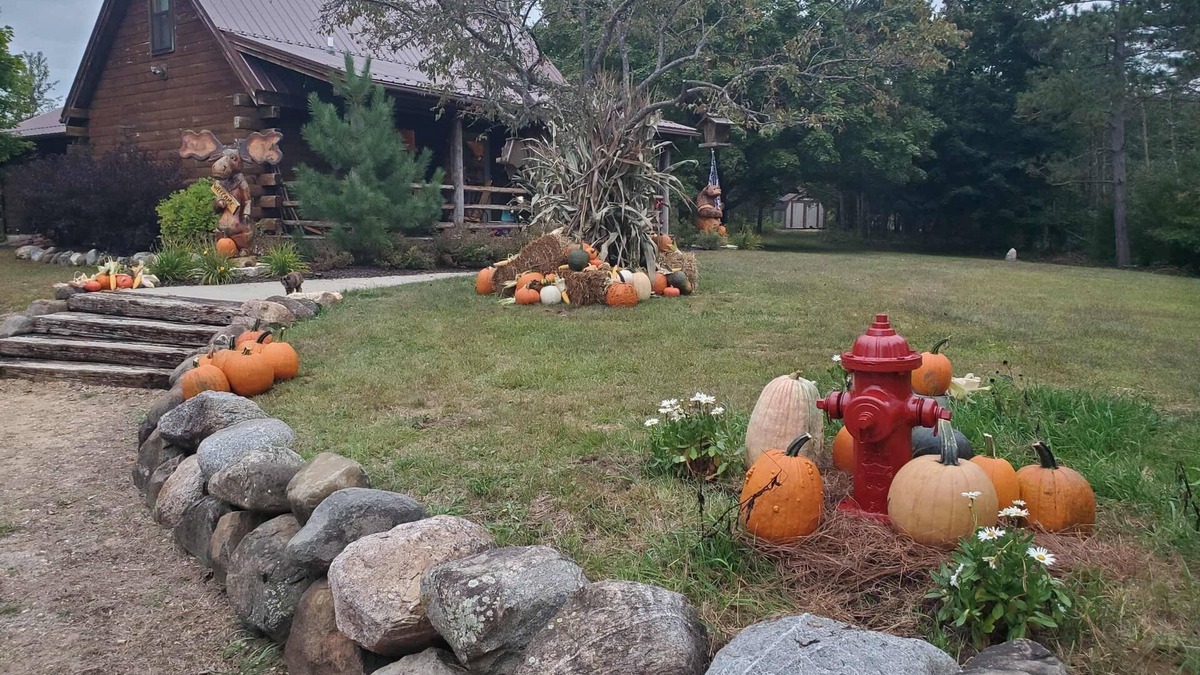 Friendship Cabin | 3 BR Cabin on 80 Acres with Hiking, ATV, Horse Trails WiFi, AC, Fishing Pond