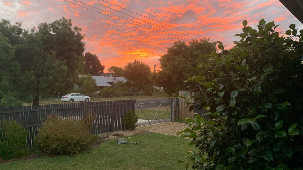 Ararat Cottage | 3 Br Cosy Country Cottage Near Grampians - Pets Welcome!