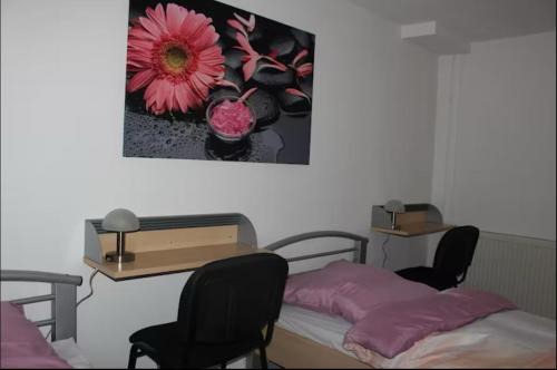 Kernstadt Apartment | 3 Ferienwohnungen in stadt Paderborn