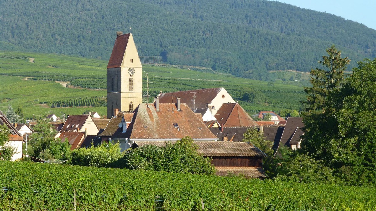 Eguisheim Apartment | 3-room apartment for 2/5 people on the edge of a vineyard