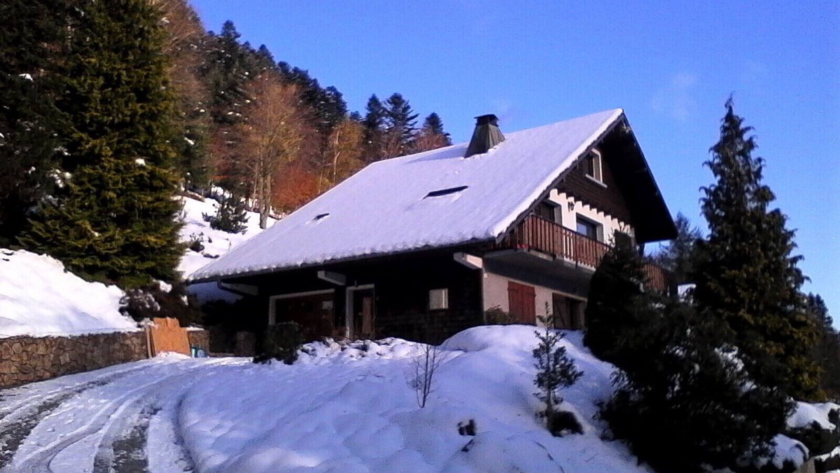 La Bresse Apartment | 3-room apartment in "Les Pommes de Pin" chalet, with terrace and garden