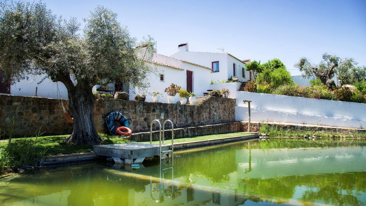 Albergaria dos Fusos House | 4 bedrooms villa with biologic swimming pool