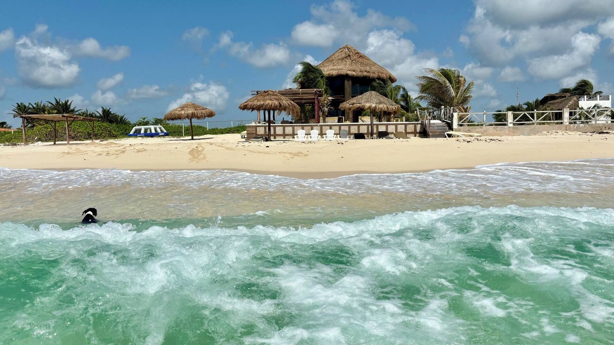 Playa del Secreto House | 4-Bedroom Penthouse, Private Beach, Chef, Wi-Fi, Housekeeping, Kayaks