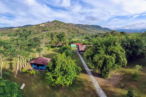 East Manggarai Bed & Breakfast | 4 Pohon - Les 4 Arbres