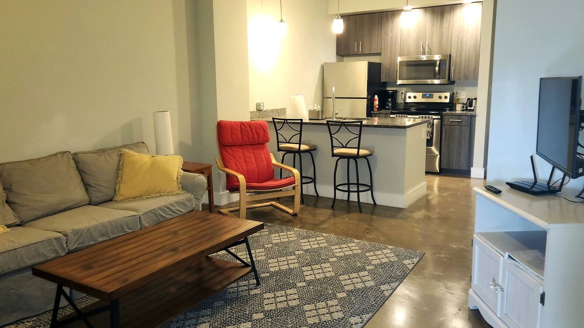 Monroe Ward Condo | 402 Heart of the Arts in Downtown RVA near MCV VCU Convention Center