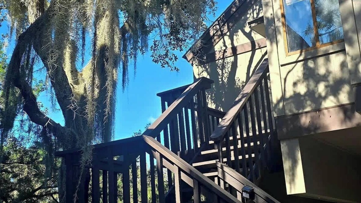 St. Simons Island House | 491 Cedar Walk Sea Palms