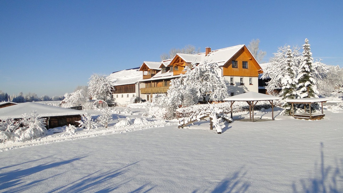 Barnau Apartment | 5-star apartment at Birkholmhof, biopool and sauna in the Upper Palatinate Forest