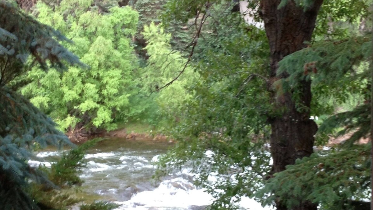 Avon House | 5BR, 4 1/2 BA Dog friendly retreat. Close to Beaver Creek. On Eagle River