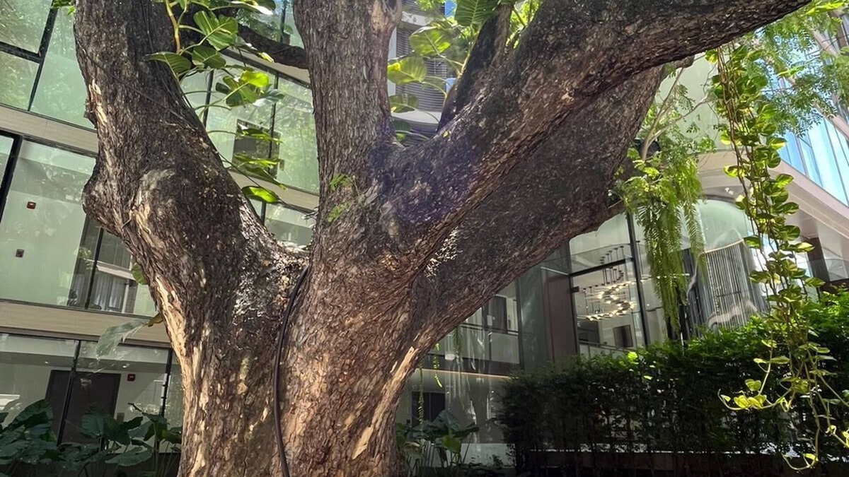 Nana Condo | 6* Luxury @ The Heart of Bangkok in the Most Exclusive Zone in Bangkok