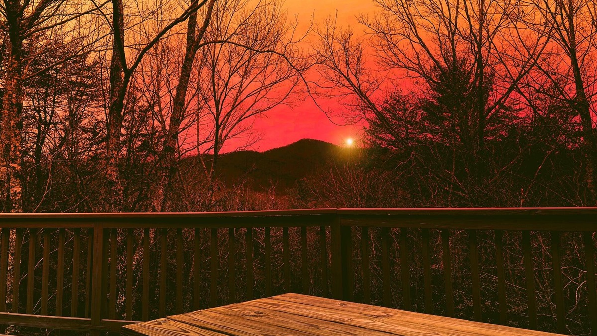 Cleveland Cabin | 602 FIVE Star Reviews | Views | Pool Table & Ping Pong | Pet Friendly | Firepit