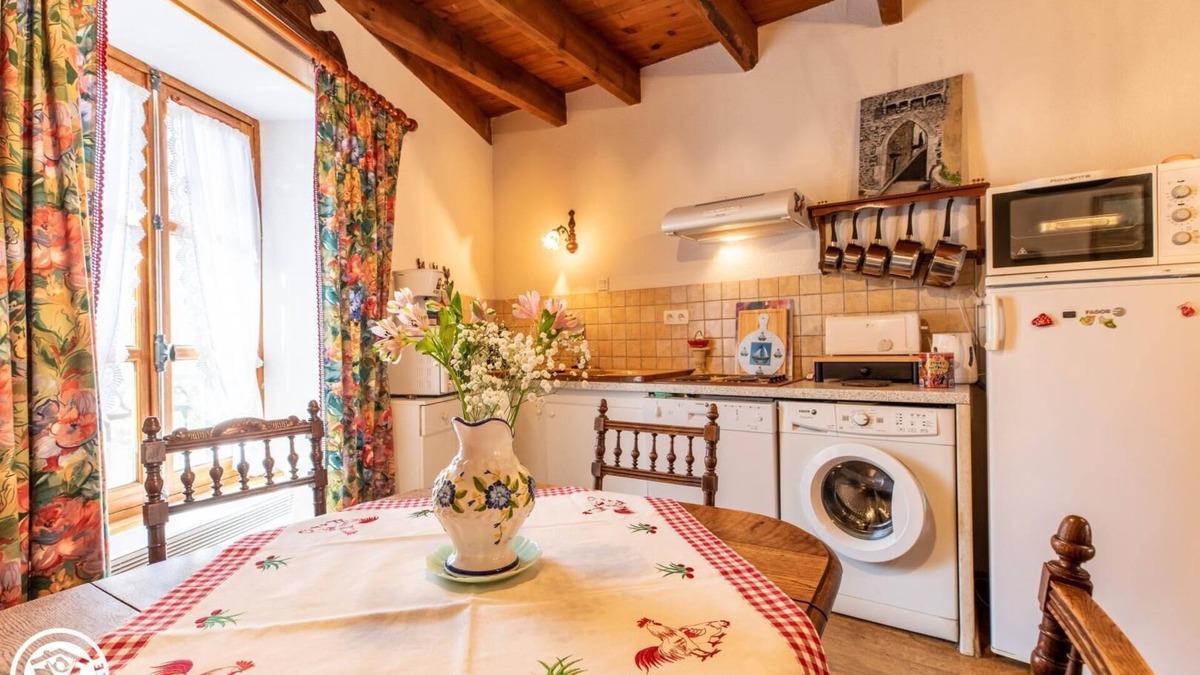 Saurier House | 63g100796 - Saurier - Gîte