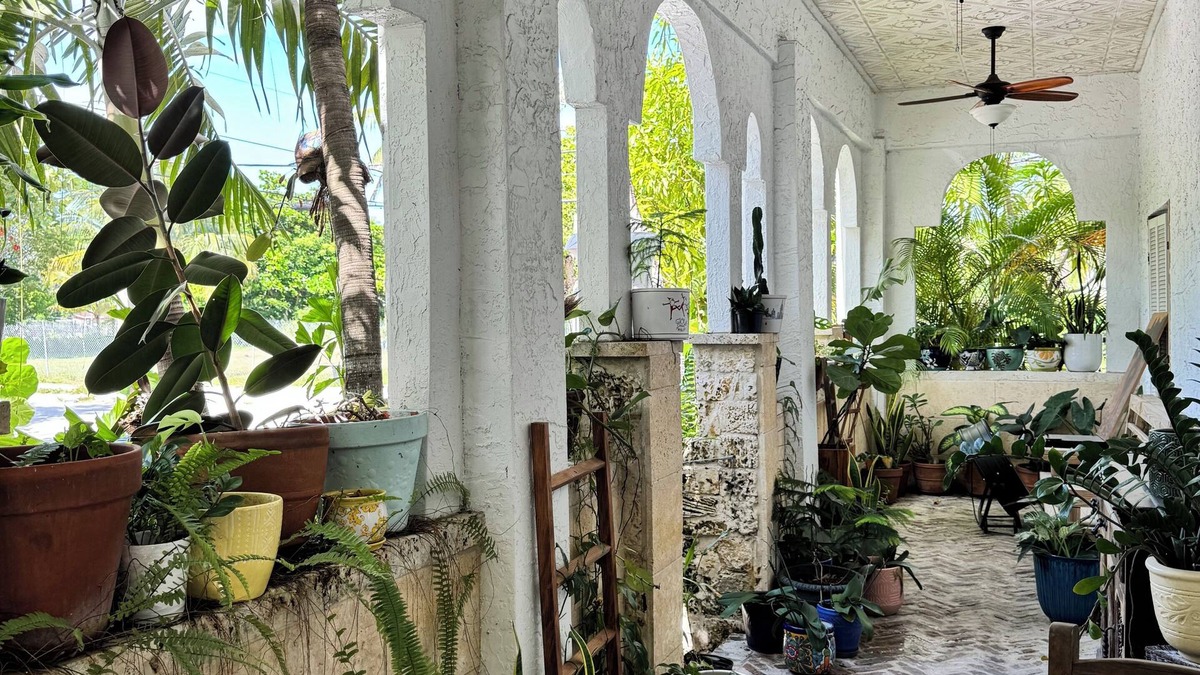 Southwest Coconut Grove House | 7 bedroom Beautiful, Clean - Coconut Grove