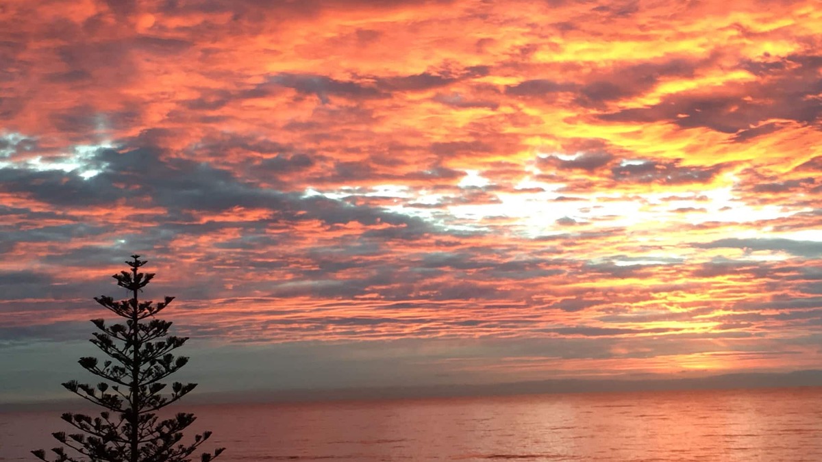 Westshore Apartment | ' 79'nMIN STAY 1 MONTH Napier Westshore nBEACHFRONT APARTMENT.