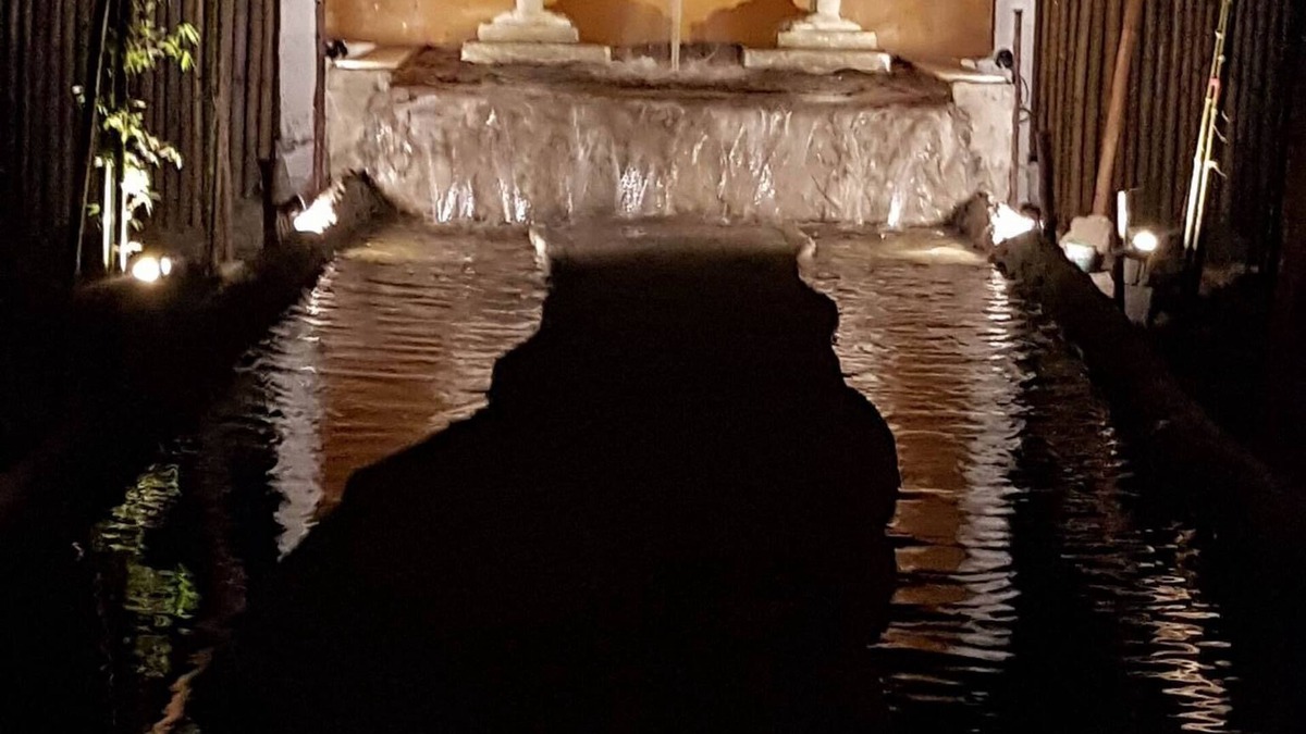 San Pu Loei House | #9 DIRECTLY BESIDE SALT WATER POOL - RELAXING, RESTORATIVE, QUIET