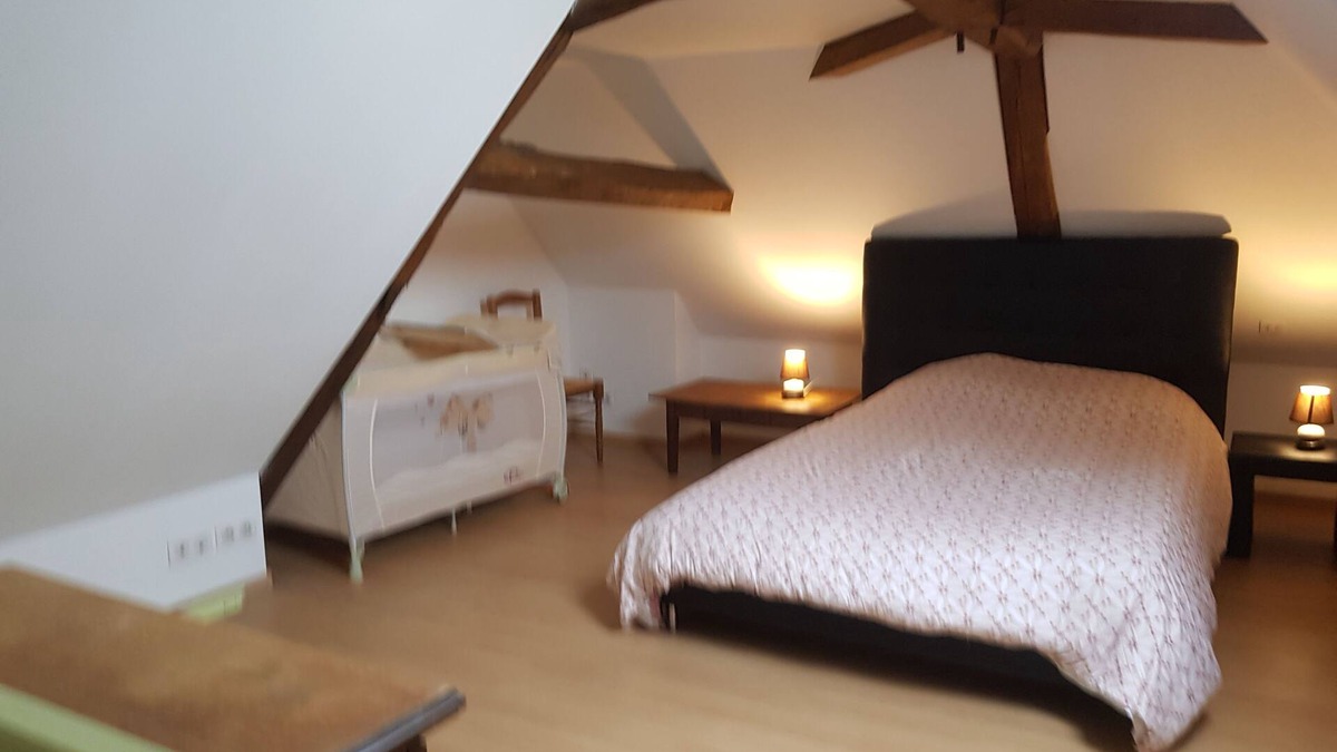 Beaulieu-sur-Loire House | 90 m/2 garage townhouse with free wifi