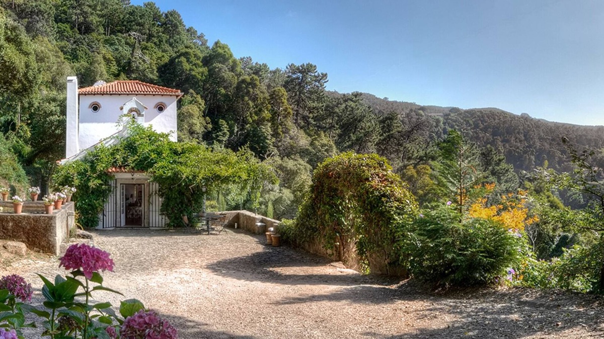 Sintra House | A 3 Storey Country House Nestled in 10 Hectares of Woodland