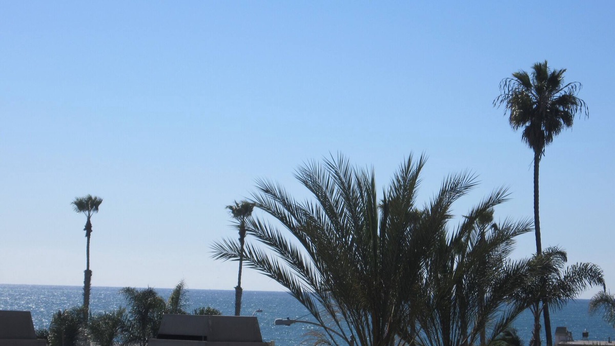 Townsite Condo | A Beautiful 1 Br, 1 Bath, Ocean View. new carpet, flooring & new king size bed