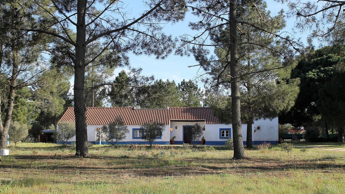 Alcacer do Sal House | A Casa do Pinheiro tem uma Área de 5.000m2 com Piscina