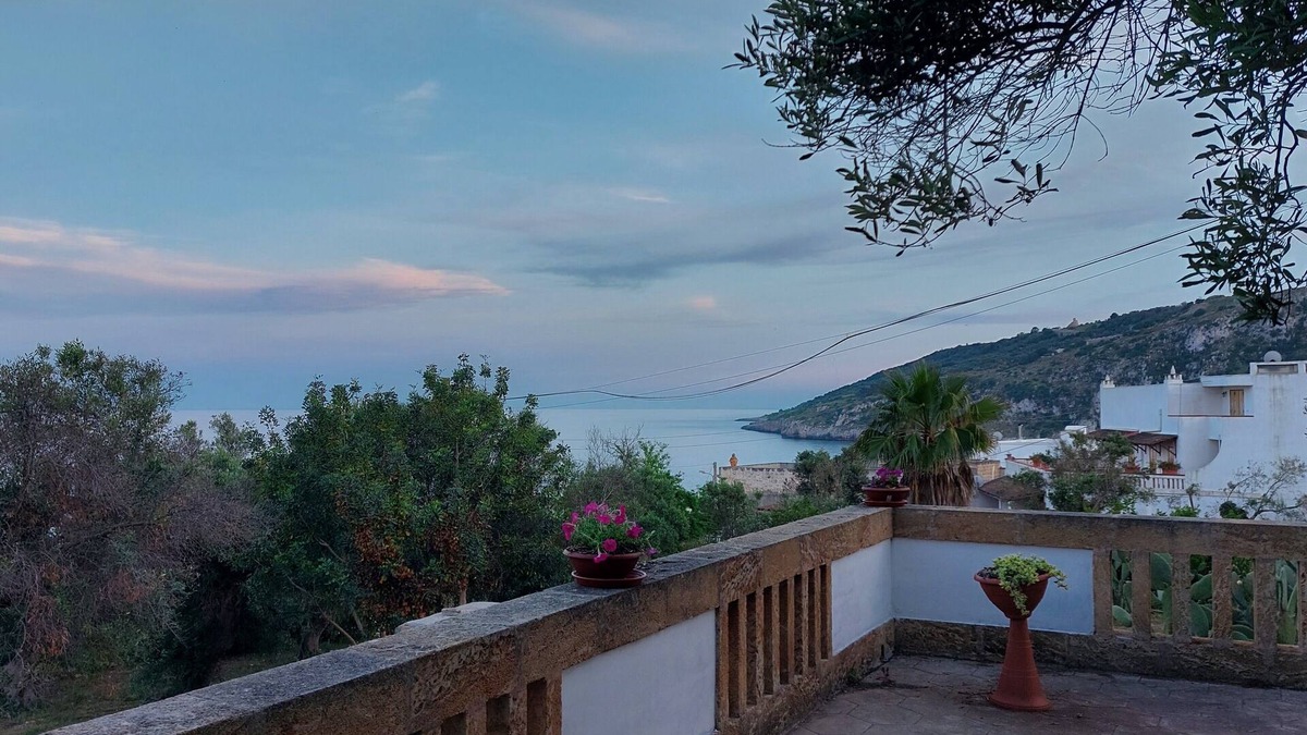 Marina Serra House | A corner of paradise in the green of an olive grove just a few steps from the sea