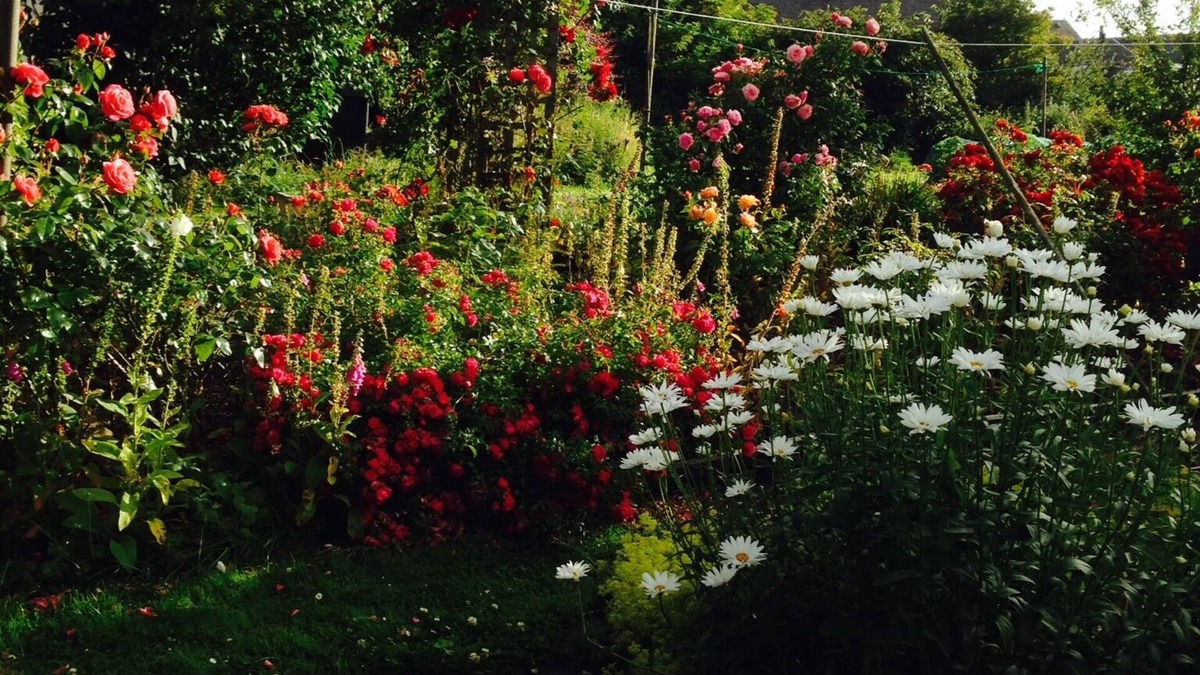 Morebattle Cottage | A cosy holiday cottage in Morebattle, near Kelso.