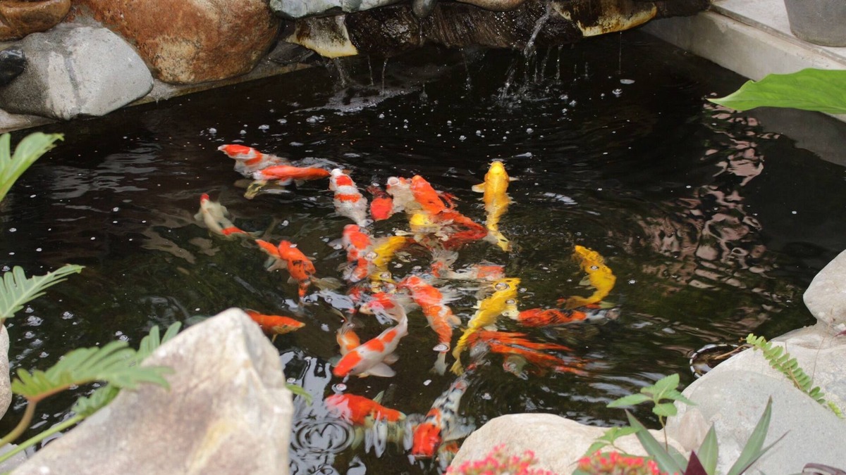 Tuy Hoa House | A cozy house for friend who want to share the joyful and peaceful together!