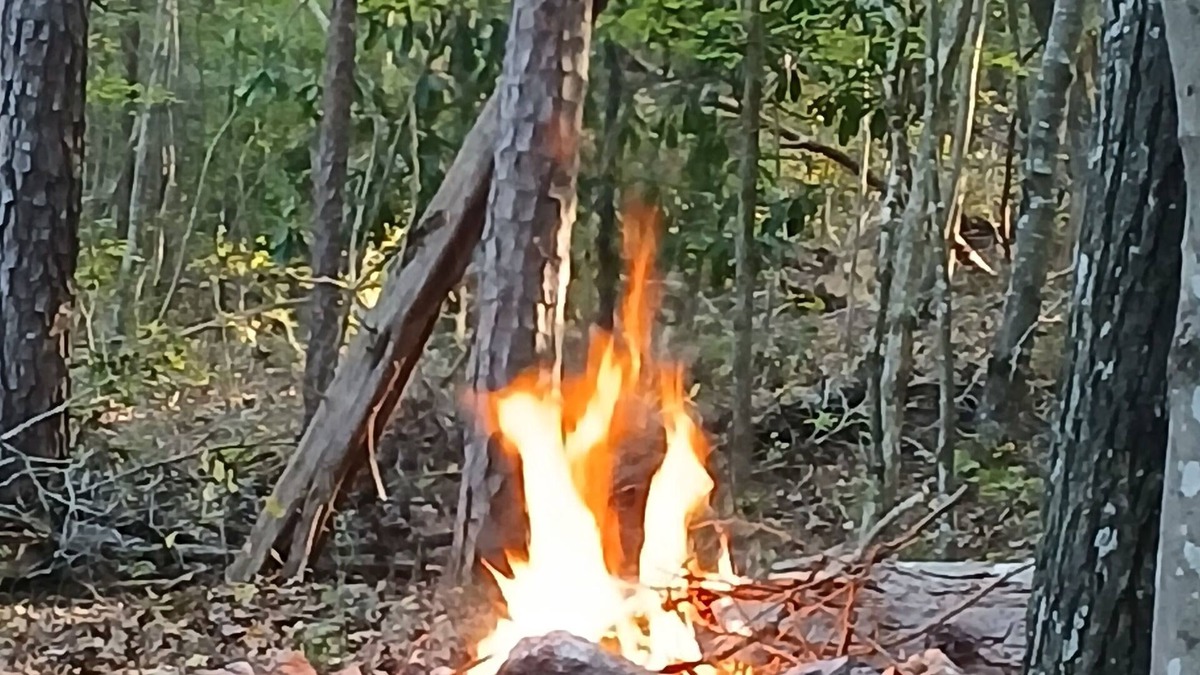 Lancaster RV Rental | A crackling campfire, a creek & deer outside your tent & we have a nature trail!
