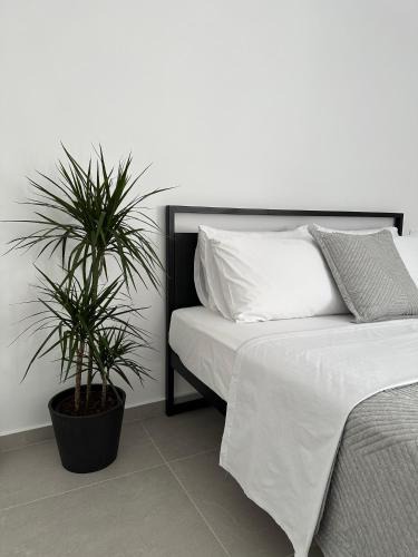 Vissa Apartment | A drop from the sea