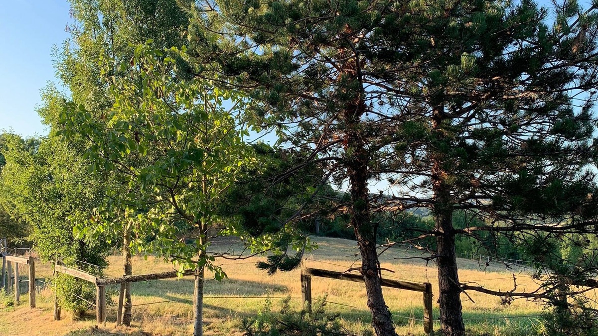 Damiatte Bed & Breakfast | A haven of peace and quiet in the heart of the Tarn countryside.