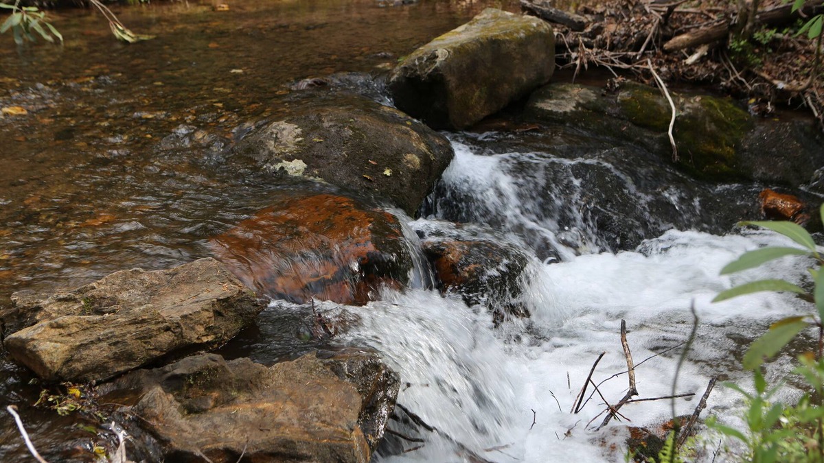 Hiawassee Cabin | A Hiker's Paradise Private Cabin on Small, Rushing Stream Near A/T-