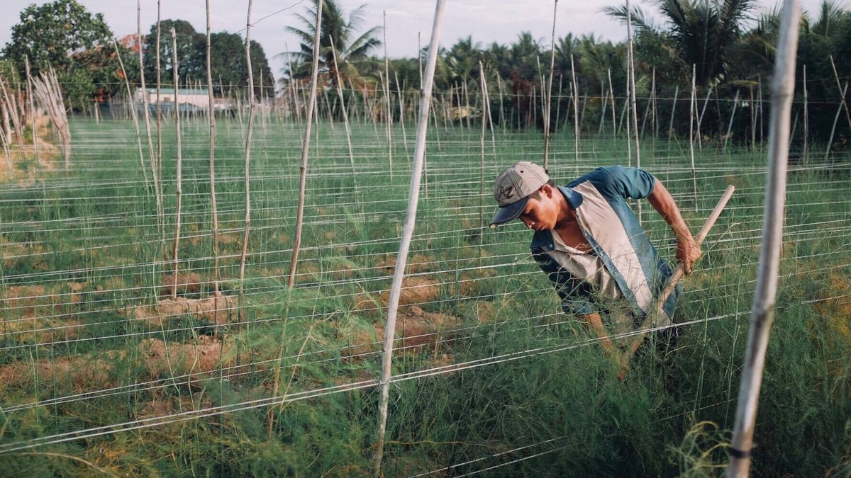 Phan Rang House | A homey homestay in a typical Vietnamese countryside, lovely price.
