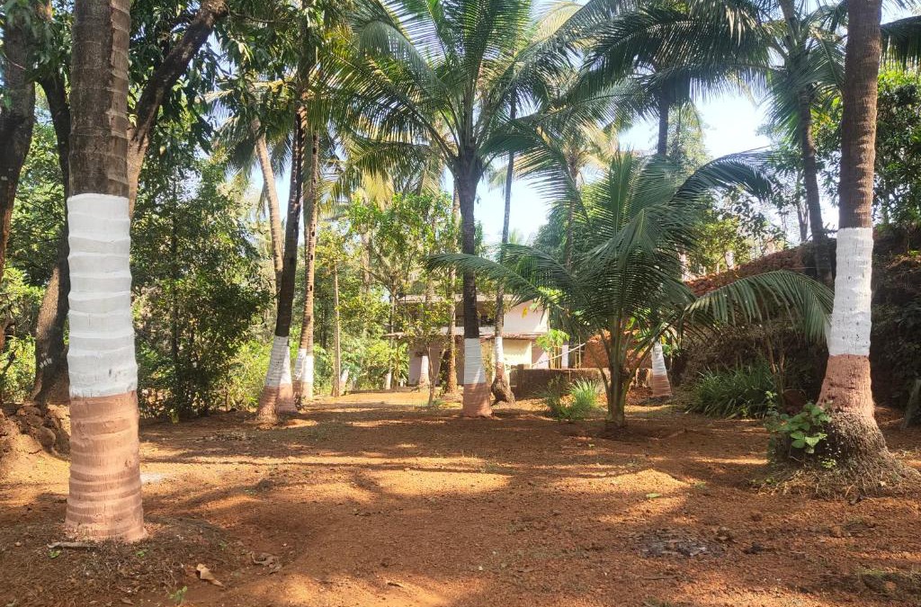 Anjanvel Resort | A Latent Farm stay