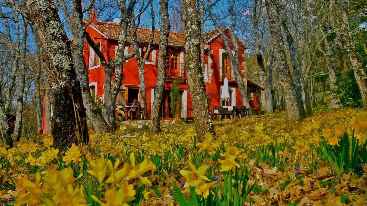 Collado Hermoso Cottage | A magical house in the heart of Guadarrama Park