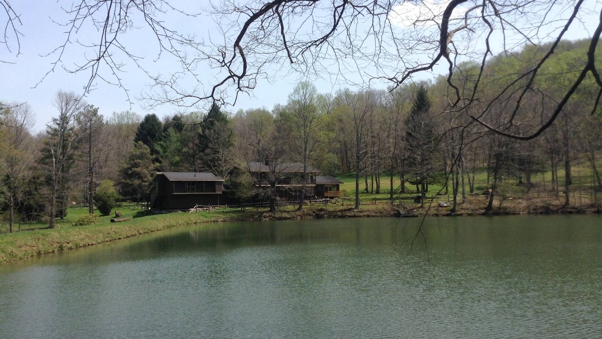 Stahlstown House | A Modern House in a Large Nature Reserve in Ligonier Valley!