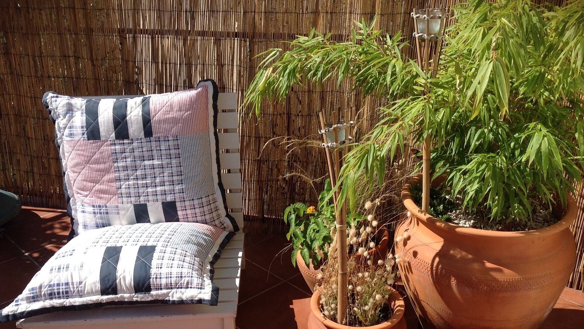 Pedrogao Grande Bed & Breakfast | A peaceful place in the heart of rural Portugal