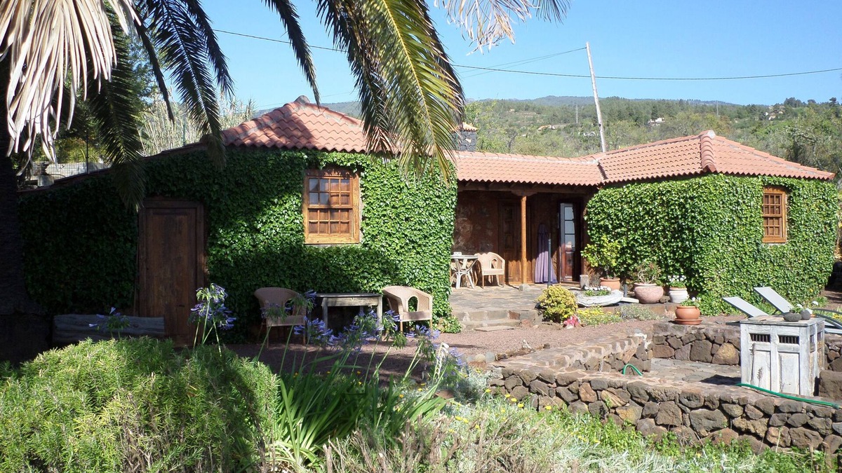 Puntagorda House | A real Canarian house created in the heartwood of the Canarian pine