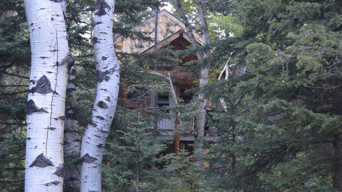 Deadwood Cabin | A remote cabin surrounded by Pine, Birch and Aspen trees, five miles to Deadwood