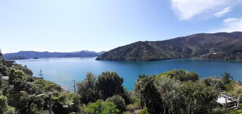 Whatamango Bay Bed & Breakfast | A Sea View B&B