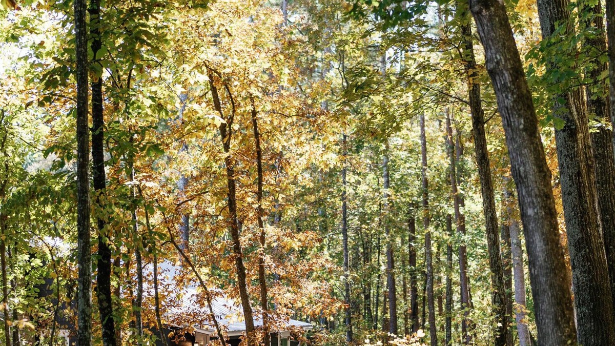 Rome Cottage | A secluded haven on 5,000 acres in NW Georgia, just 45 minutes from Atlanta and Chattanooga, and a quick 10-minute drive to downtown Rome. Explore private trails along the Etowah river, bask in wildlife, and gaze at mesmerizing stars. Your perfect es