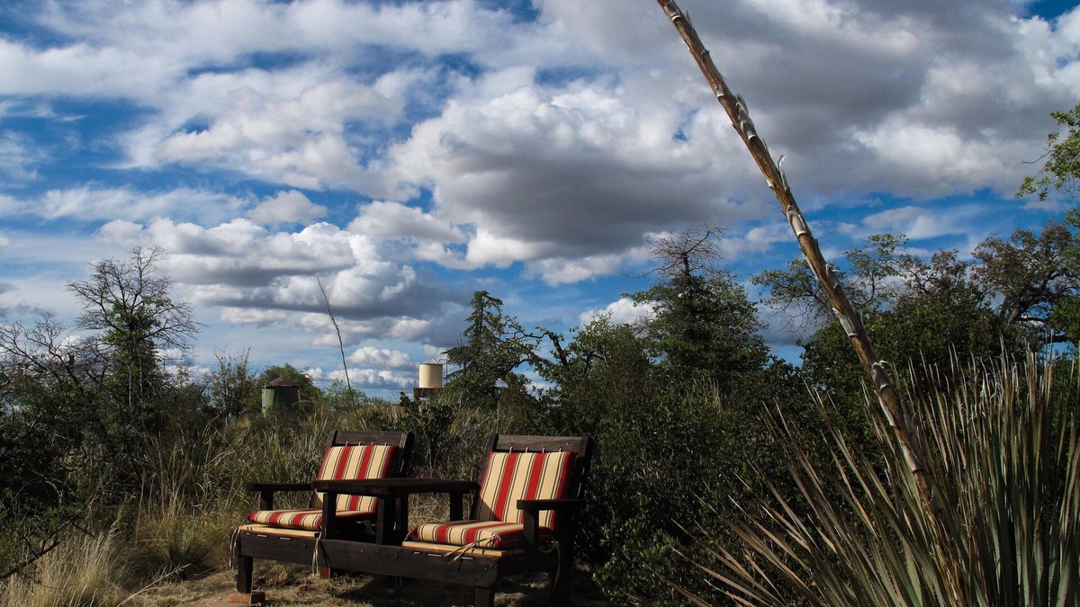 Oracle Cottage | A Secluded Retreat In Nature - La Casita