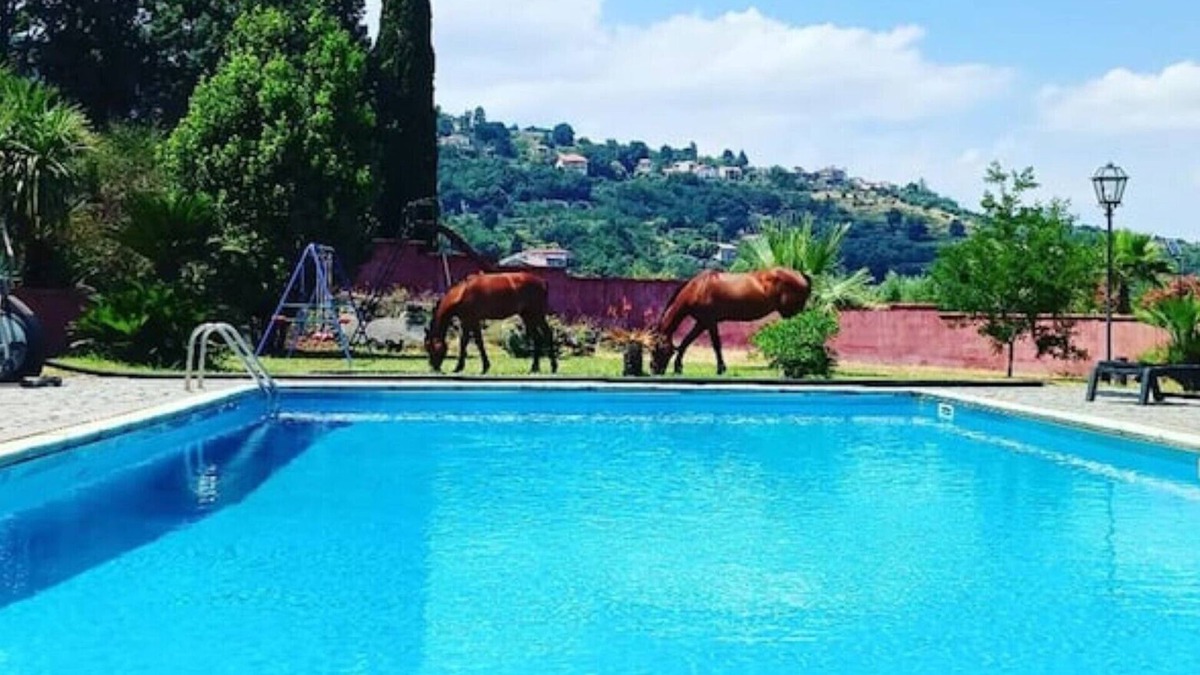 Puntalazzo Villa | A Sicilian guesthouse with Pool on Mt. Etna, perfect for Families & Groups/x16p.