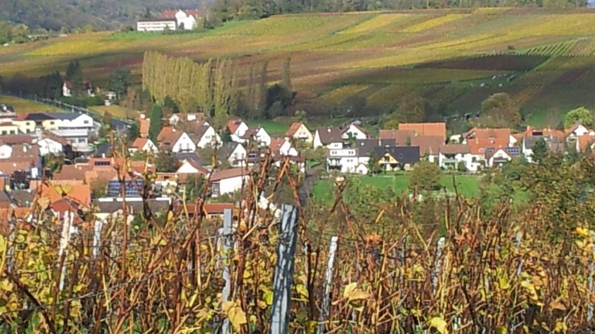 Klingenmuenster Apartment | A sunny spot below Landeck Castle in the middle of the vineyards